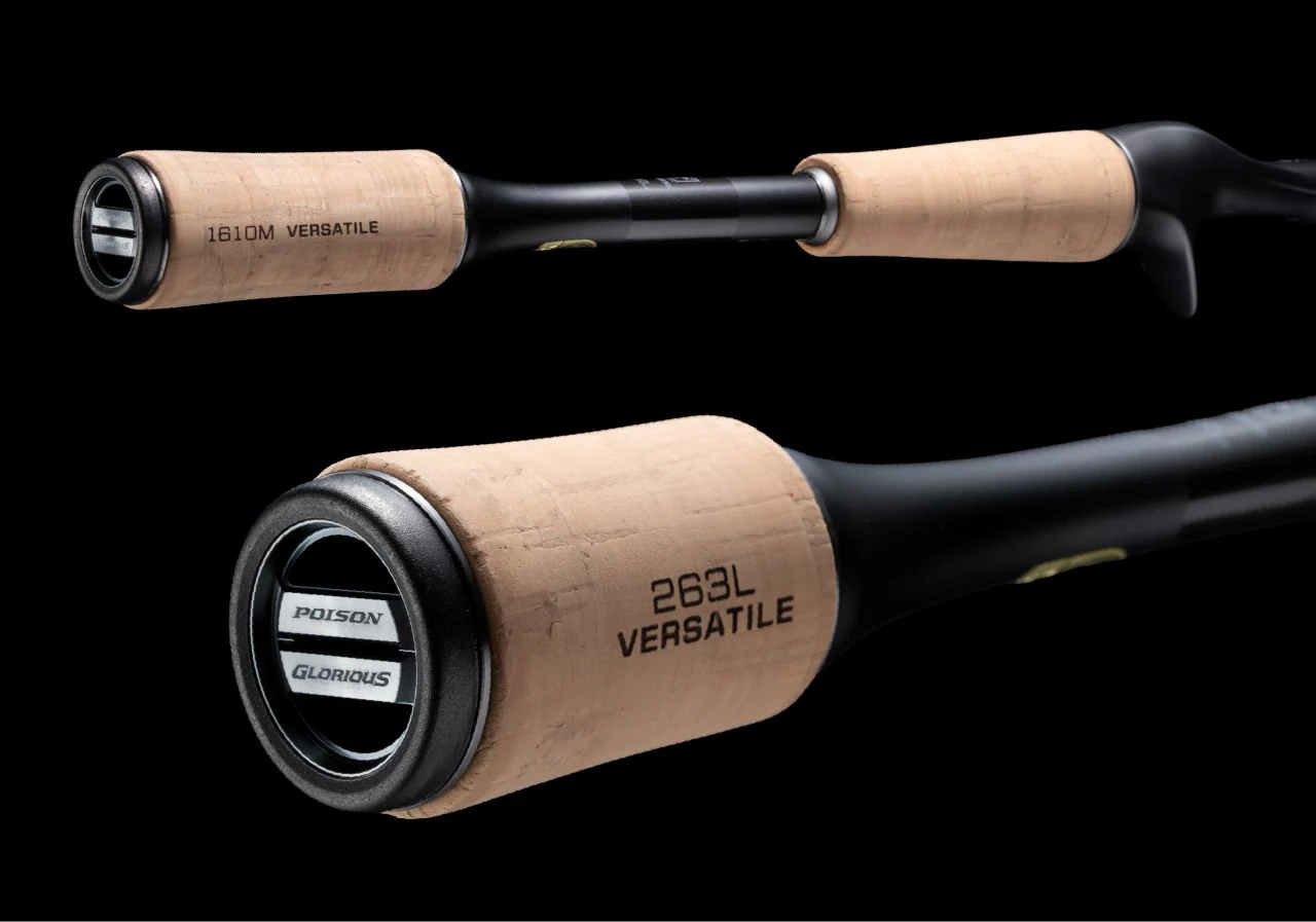 26 CALCUTTA CONQUEST BFS LIMITED